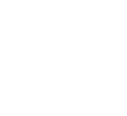constructiz logo 1